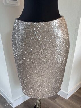 White House Black Market Champagne Sequin Pencil Skirt